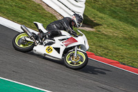 Middle Group White Bikes